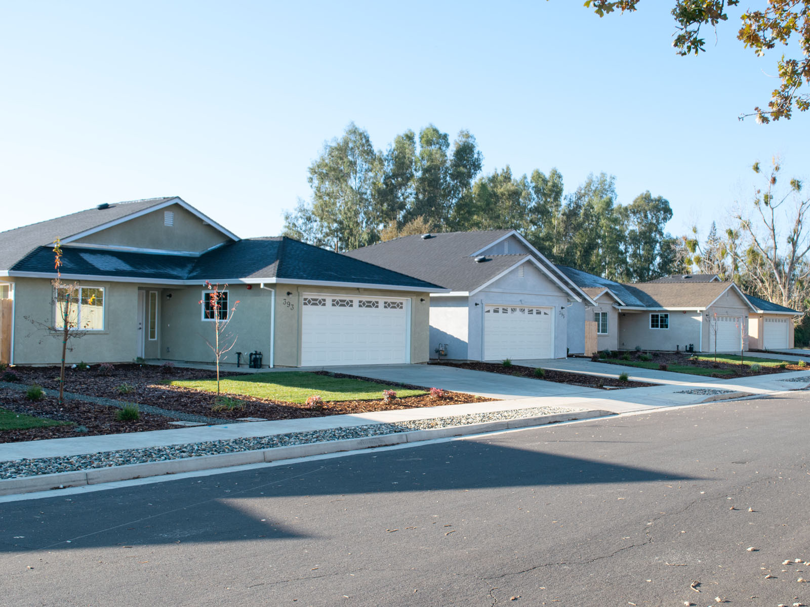 A row of homes in Biggs, CA span the photo. In the foreground is the street and the sidewalk in front of the homes. In the background are a few trees and a light blue sky.