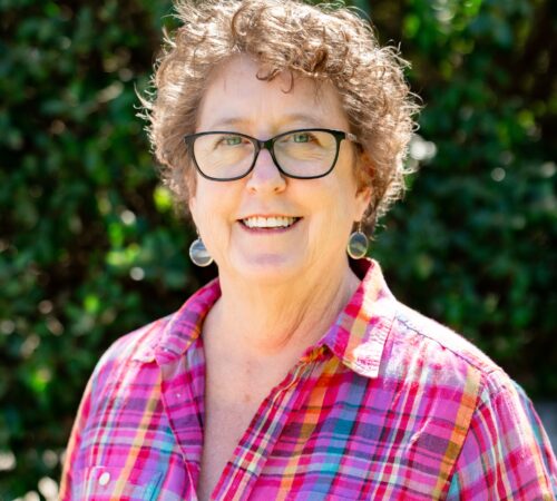This is a portrait photo of Gayle Palys, a staff member. She is wearing a plaid pink top with a scarf with a blue, yellow, pink, and white pattern. She has short, curly, brown hair and she is wearing glasses. She is smiling.