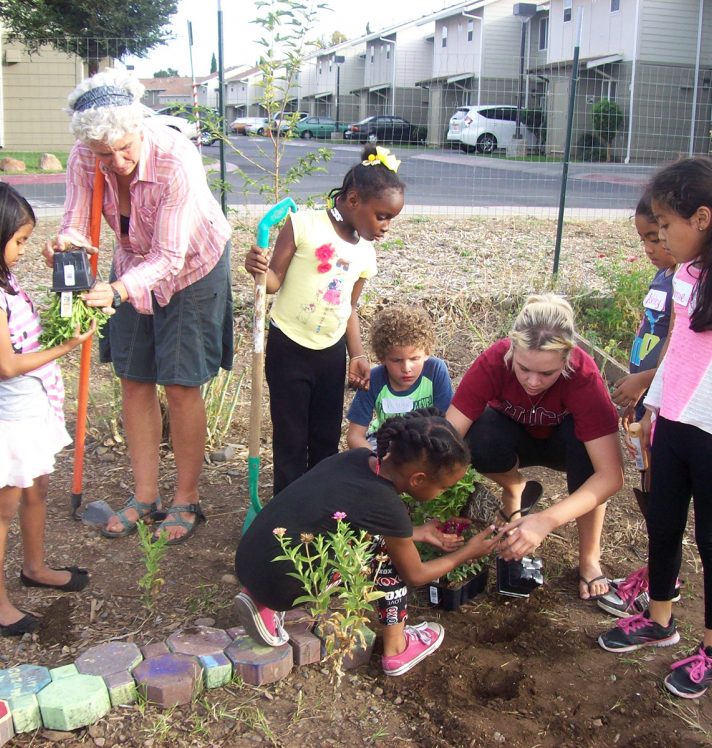 A team of residents and volunteers are working in a garden. An older woman helps a young child to remove a plant from its container. One child in the center has a shovel and watches as the volunteer woman helps a child plant something in the soil. In the background, you can see Murph Commons apartments where these children and the elderly lady live.