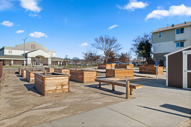This is an exterior photo showing the community garden. Rows of raised, wooden garden beds are next to a wooden bench. In the background is Marsh Junior High School.